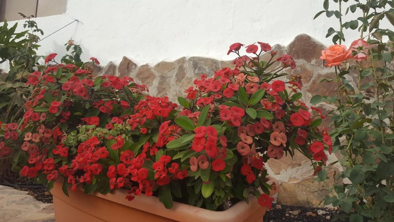 Casa Reyes Fataga Apta Reyes Экстерьер фото